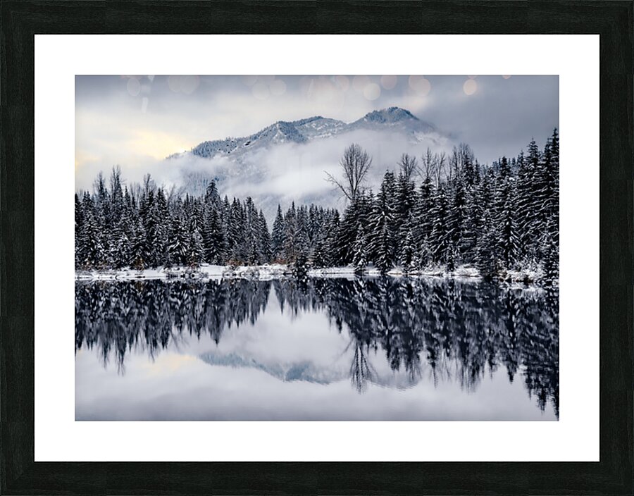 the Forest Stares Back  Picture Frame print