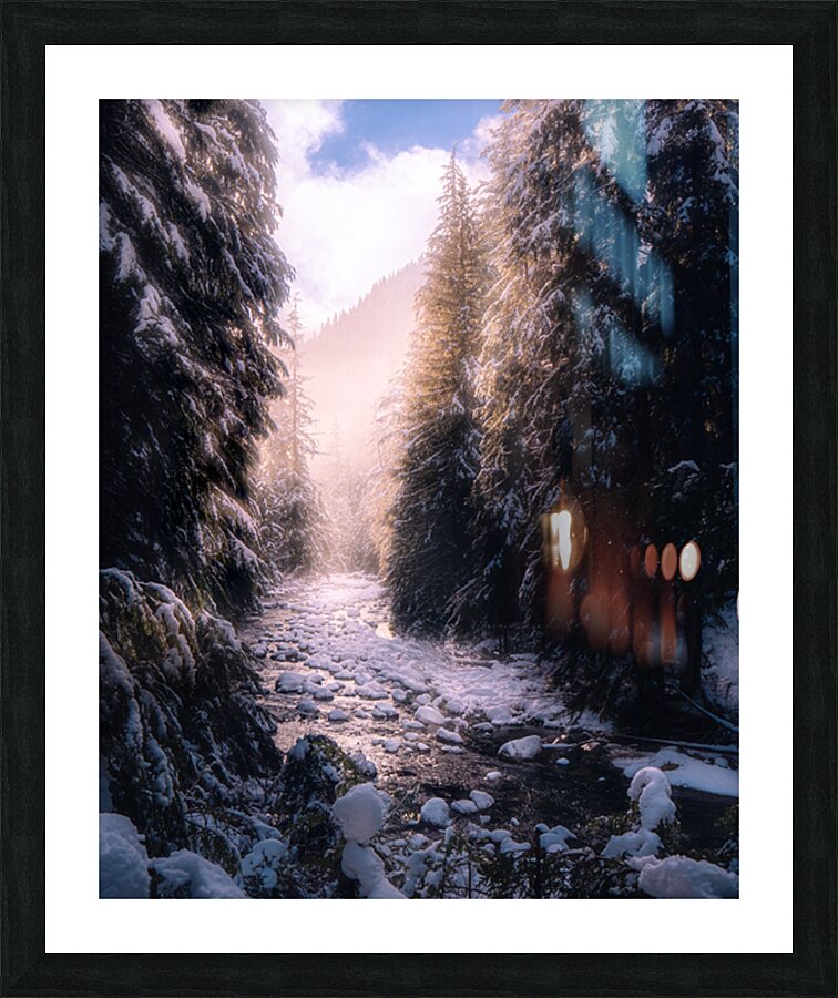 Found Apricity  Picture Frame print