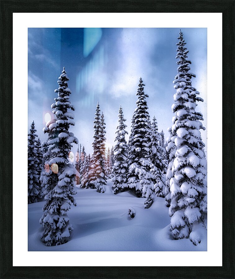 Untouched Winter  Picture Frame print