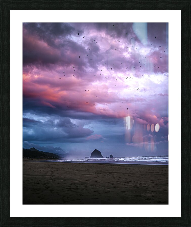 Everlasting Cotton Candy  Picture Frame print