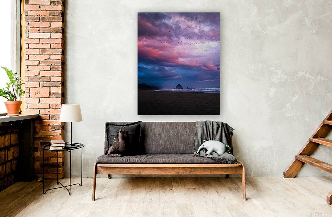 Everlasting Cotton Candy  Reproduction