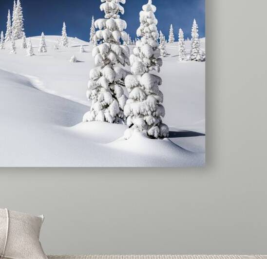 Buried in White  by Travis Cole Nature Photography
