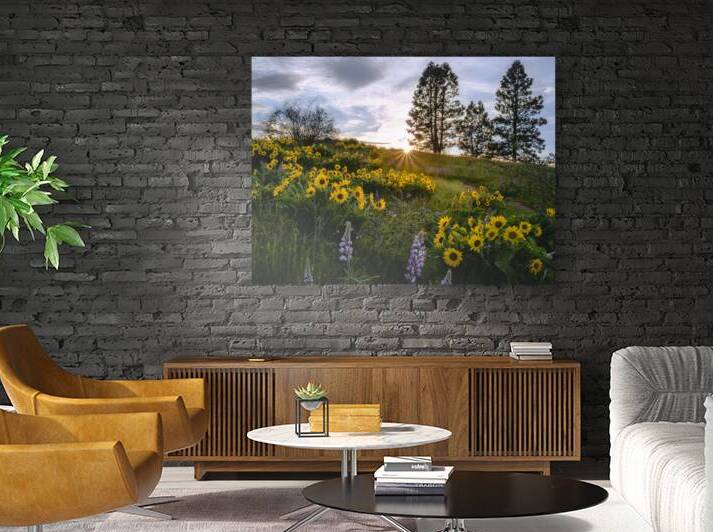 Sunbeams on the Meadow  Reproduction
