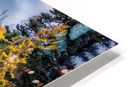 Autumn Tranquility  HD Metal print