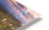 Purple Haze HD Metal print