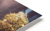 Golden Spring Flow  HD Metal print