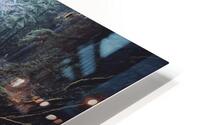 Rainforest Rush  HD Metal print