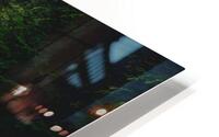 Between Mist & Rage  HD Metal print