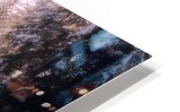 Found Apricity  HD Metal print