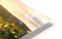 Dancing Flowers at Sunset  HD Metal print
