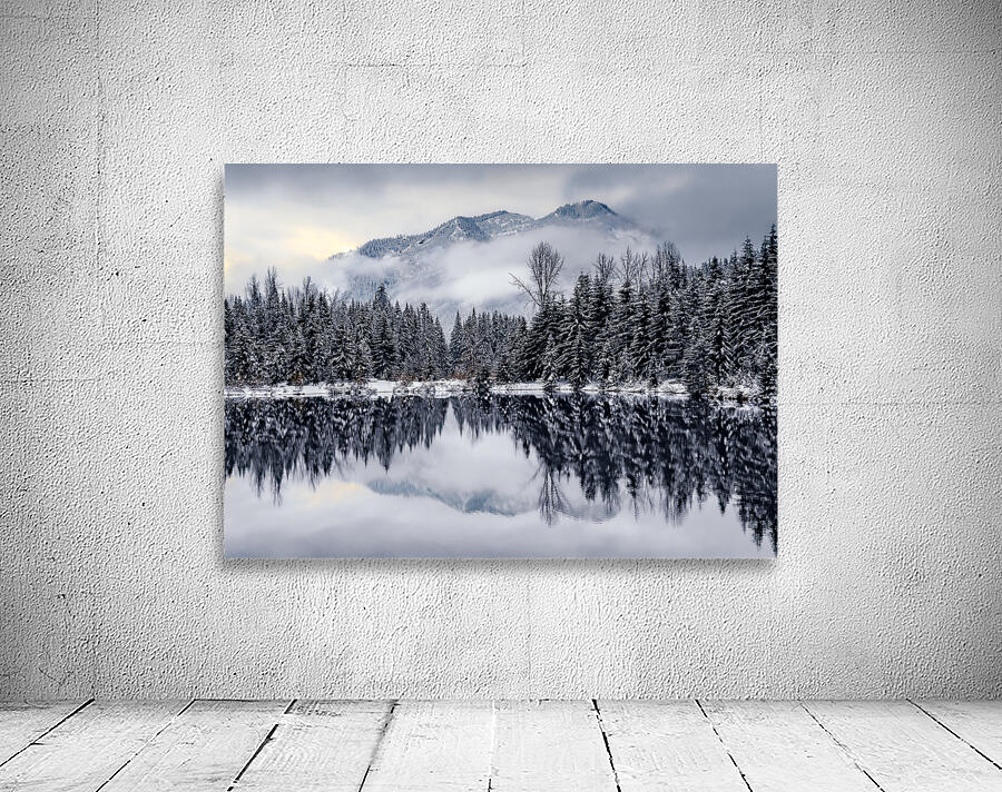 the Forest Stares Back  Wall Preview