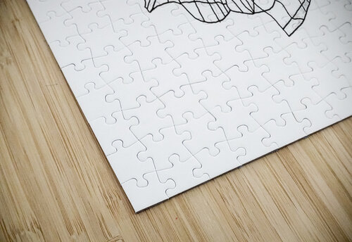 Fred Bugs The hidden place Fred Bugs puzzle