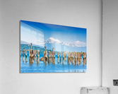 Birdboxes on old pilings Acrylic Print