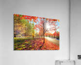 Firey fall colors Acrylic Print