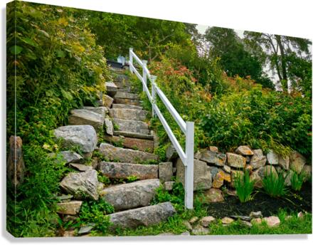 Higgledy piggledy steps Canvas Print