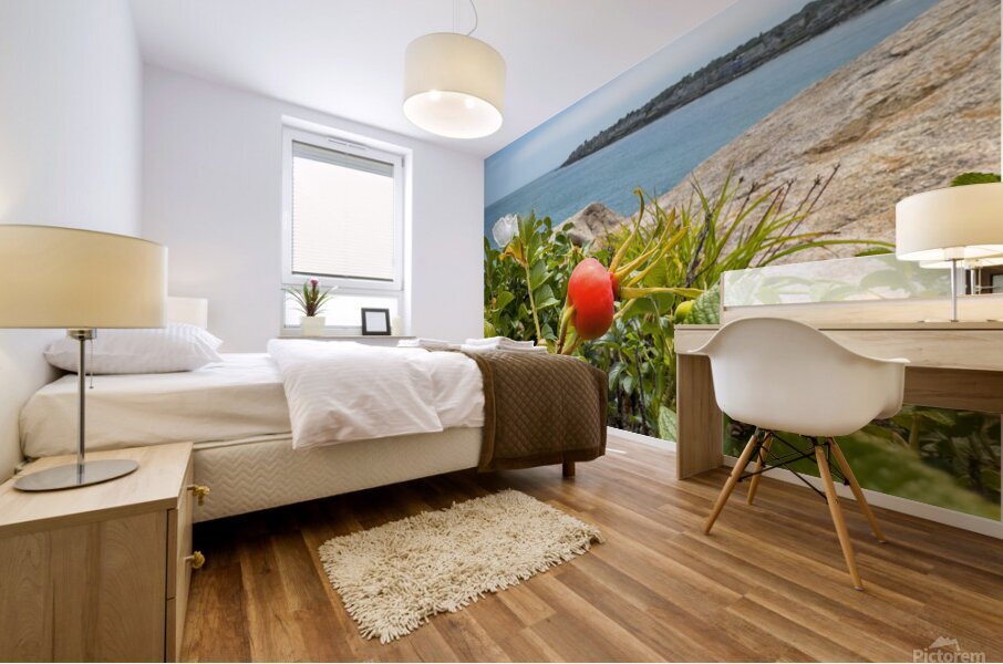 Beach rose hips Mural print