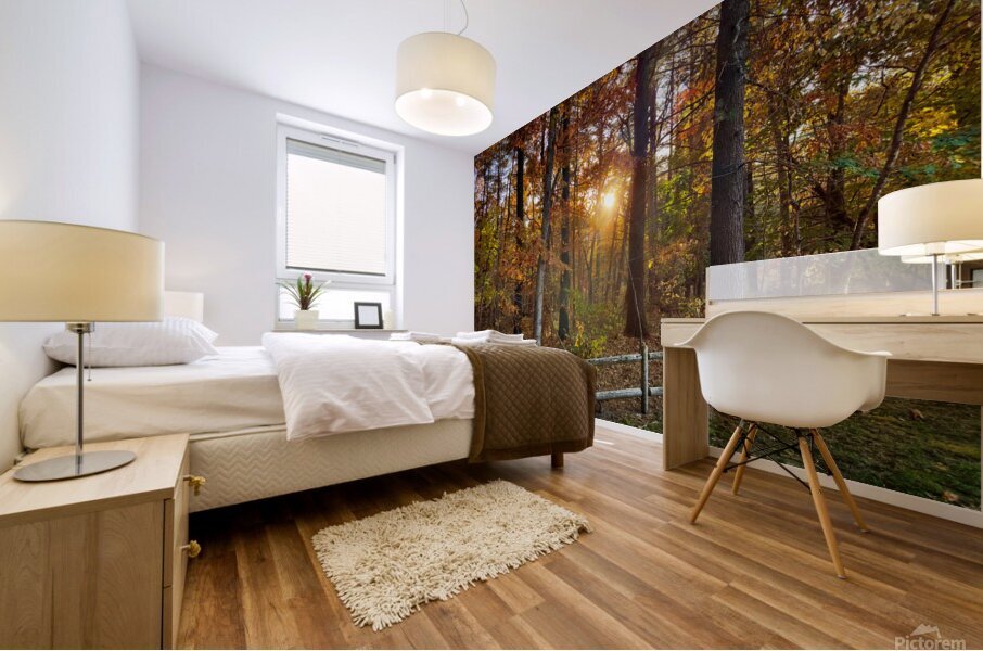 Sun going down in forest Mural print