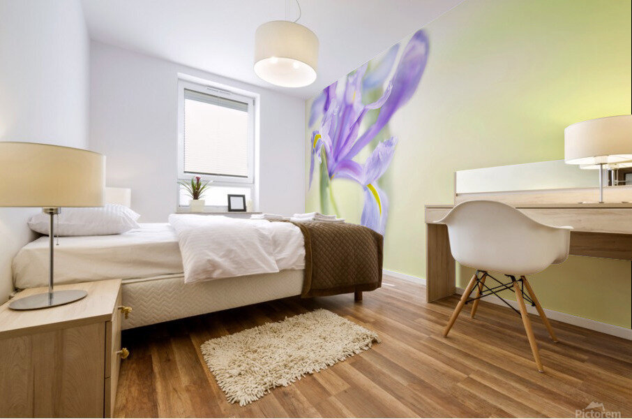 Iris on bright blurry background Mural print