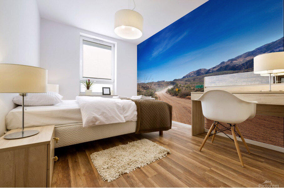 Apache Trail dirt road Mural print