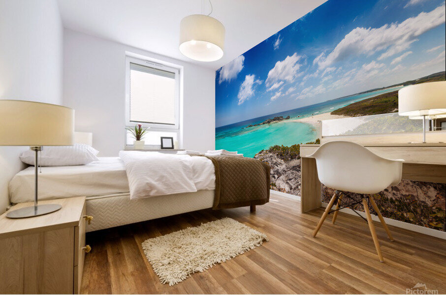 Dragon Cay from the cliffs Mural print