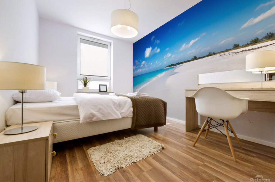 Half Moon Bay Mural print