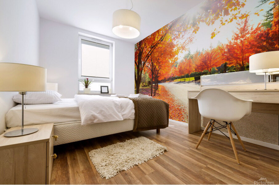 Sun through fall maple leaves Mural print