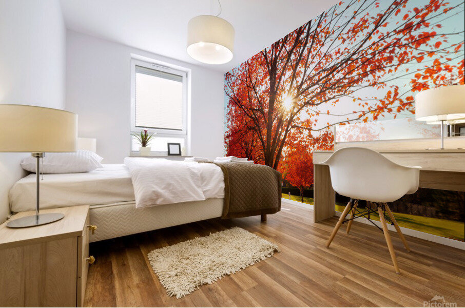 Firey fall colors Mural print