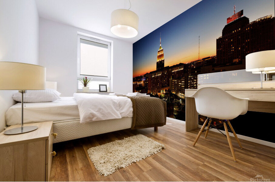 San Antonio skyline Mural print