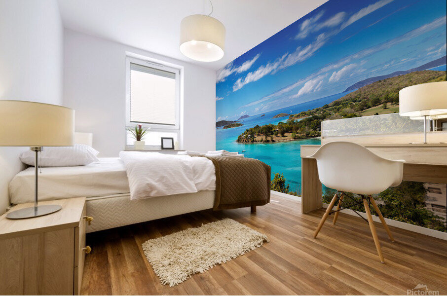 Caneel Bay Mural print