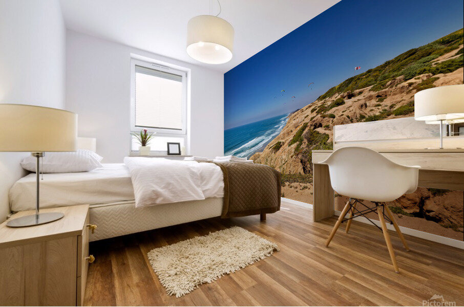 Cliffs at Torrey Pines Mural print
