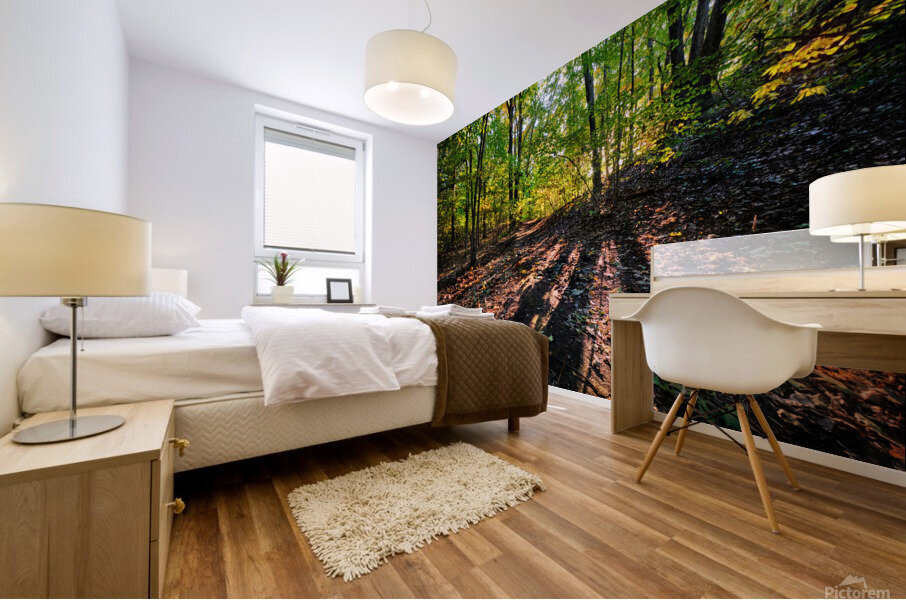Path winds through the sunlit forest Mural print