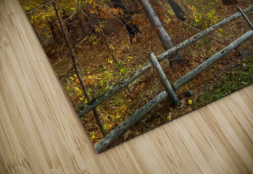 Sun going down in forest Jo Ann Snover puzzle