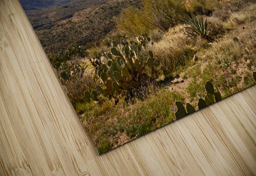 Apache Trail 140215 0132 Jo Ann Snover puzzle
