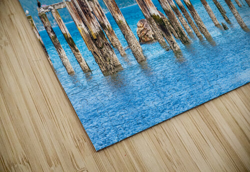 Birdboxes on old pilings Jo Ann Snover puzzle