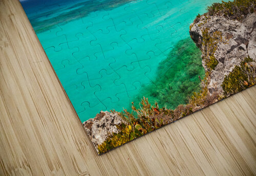 Dragon Cay from the cliffs Jo Ann Snover puzzle