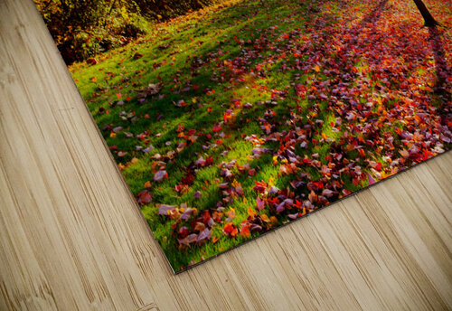 Firey fall colors Jo Ann Snover puzzle