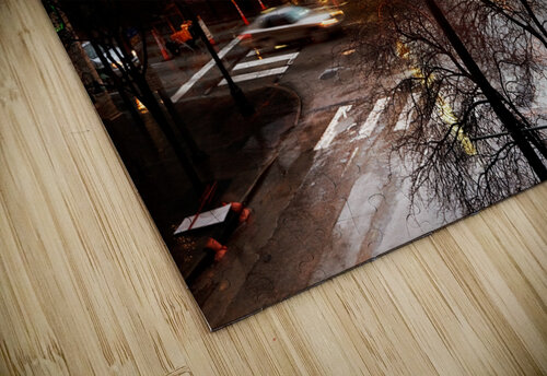 Rain on 6th Jo Ann Snover puzzle