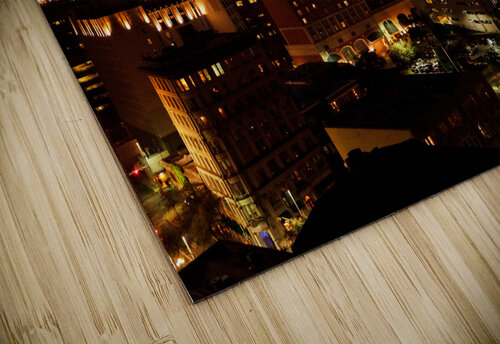San Antonio skyline Jo Ann Snover puzzle