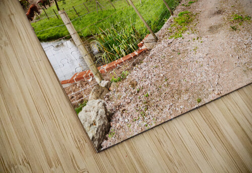 Farm entrance Jo Ann Snover puzzle