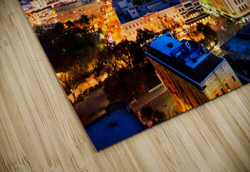 San Antonio skyline Jo Ann Snover puzzle