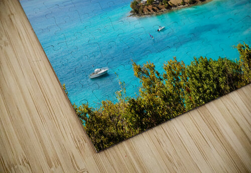 Caneel Bay Jo Ann Snover puzzle