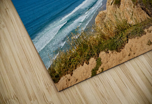 Cliffs at Torrey Pines Jo Ann Snover puzzle