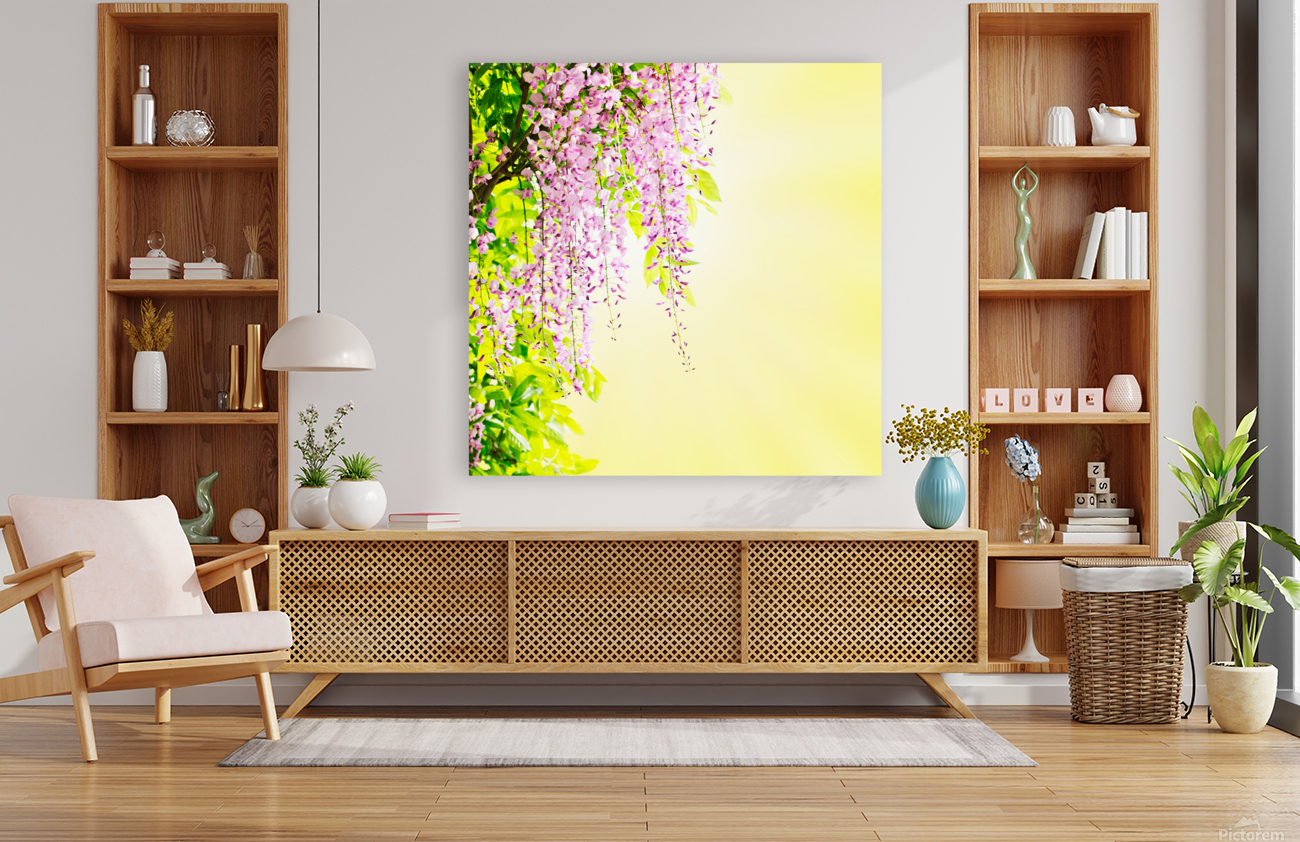 Wisteria blossoming Reproduction