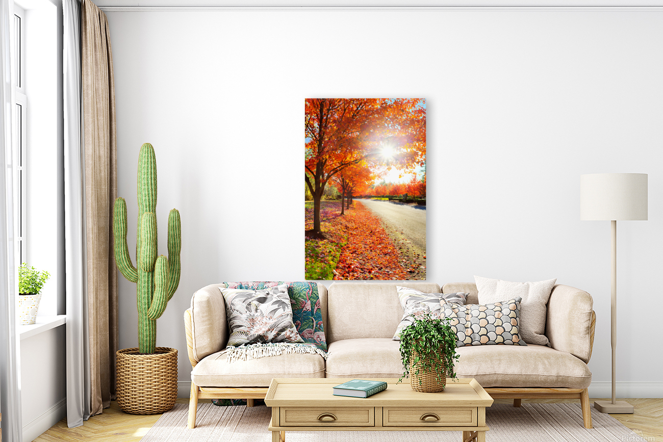 Sun through fall maple leaves Reproduction