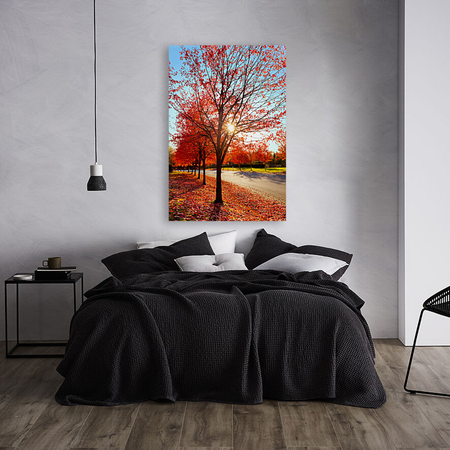 Firey fall colors Reproduction