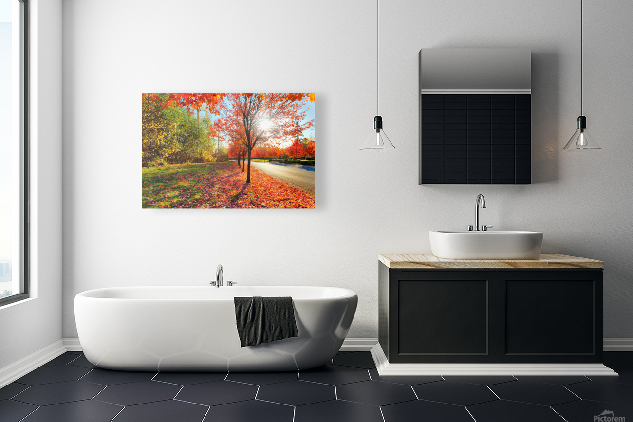 Firey fall colors Reproduction