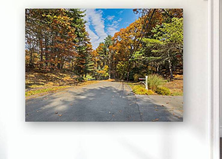 Quiet suburban street in fall by Jo Ann Snover