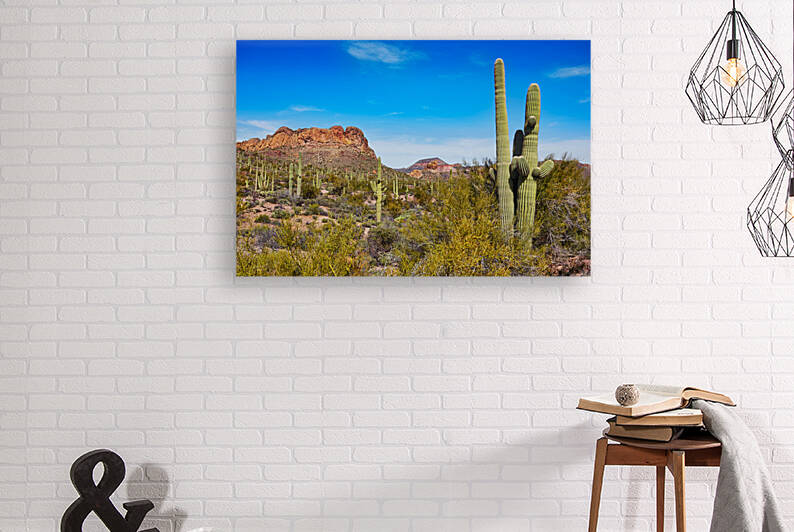 Apache Trail roadside saguaro 140215 0009 by Jo Ann Snover
