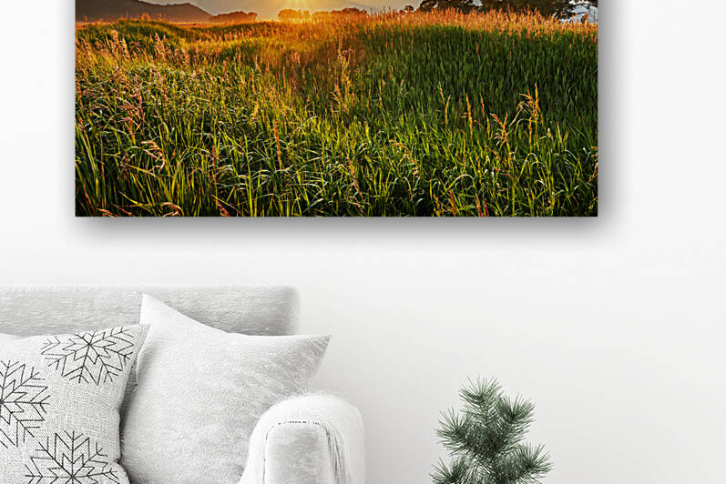 GT Andelope Flats fields 170802 0079 81 by Jo Ann Snover