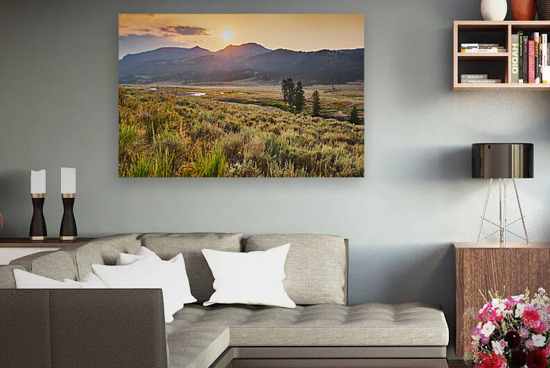 YNP Golden Lamar sunrise 170809 0202 4 by Jo Ann Snover